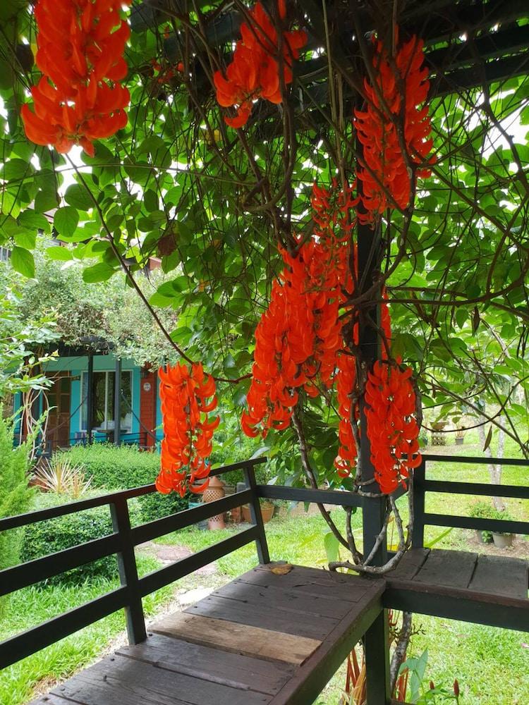 Baan Suan Hill Resort Ban Tha Khun Exteriér fotografie