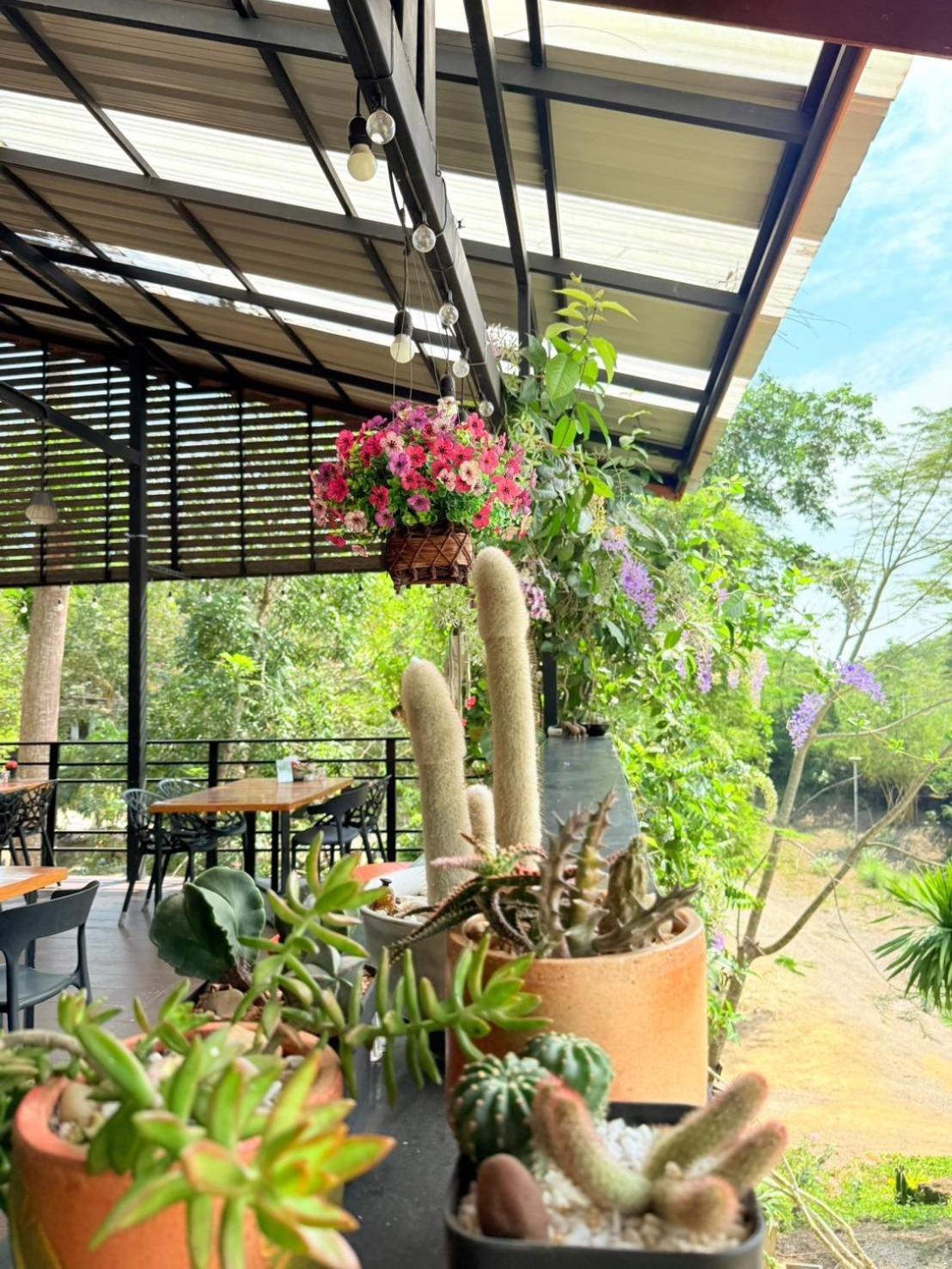 Baan Suan Hill Resort Ban Tha Khun Exteriér fotografie